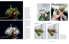 Alternative view 2 of The New Plant Collector: The Next Adventure in Your House Plant Journey