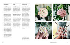 Alternative view 3 of The New Plant Collector: The Next Adventure in Your House Plant Journey