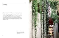 Alternative view 6 of The New Plant Collector: The Next Adventure in Your House Plant Journey