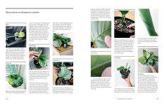 Alternative view 7 of The New Plant Collector: The Next Adventure in Your House Plant Journey