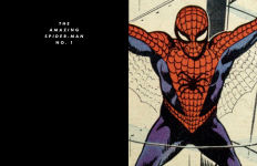 Alternative view 2 of Spider-Man: Panel by Panel