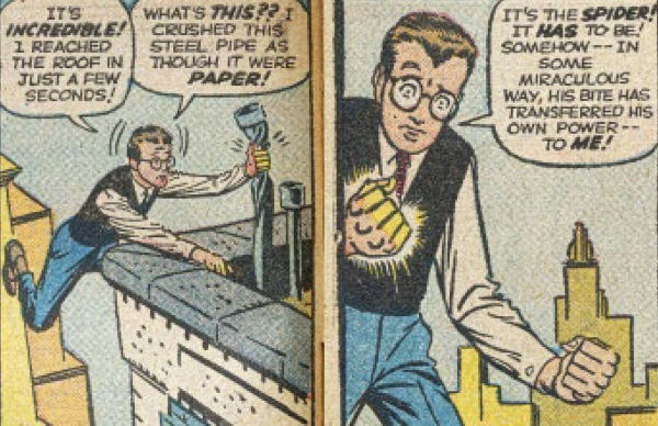 Spider-Man: Panel by Panel