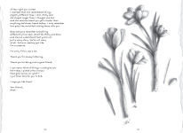 Alternative view 2 of Dear Mothman: A Novel in Verse