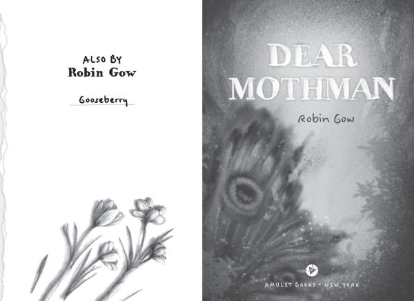 Dear Mothman: A Novel in Verse