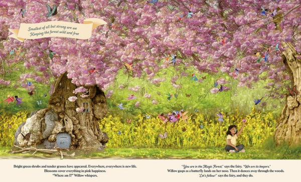 Through the Fairy Door: A Picture Book