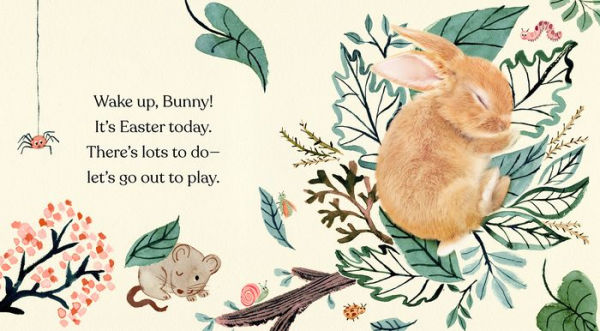 Happy Easter, Little Bunny: A Board Book