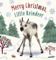 Title: Merry Christmas, Little Reindeer: A Board Book, Author: Amanda Wood