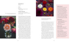 Alternative view 2 of The Flower Farmers: Inspiration & Advice from Expert Growers