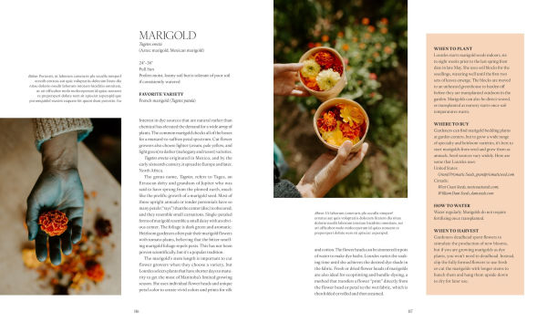 The Flower Farmers: Inspiration & Advice from Expert Growers