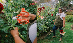 Alternative view 4 of The Flower Farmers: Inspiration & Advice from Expert Growers