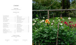 Alternative view 6 of The Flower Farmers: Inspiration & Advice from Expert Growers