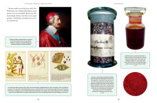 Alternative view 3 of The Wonder Cabinet of Fabulous Insects: Secrets of the World's Rarest and Strangest Insects