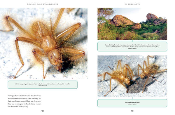 The Wonder Cabinet of Fabulous Insects: Secrets of the World's Rarest and Strangest Insects