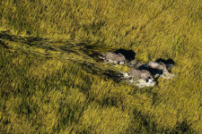 Alternative view 2 of Earth from Above (25th Anniversary Edition)