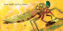 Alternative view 3 of Odd Bugs (A Curious Crittters Board Book): Meet Nature's Weirdest Insects