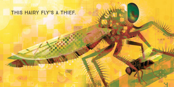 Odd Bugs (A Curious Crittters Board Book): Meet Nature's Weirdest Insects