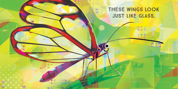 Odd Bugs (A Curious Crittters Board Book): Meet Nature's Weirdest Insects