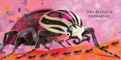 Alternative view 5 of Odd Bugs (A Curious Crittters Board Book): Meet Nature's Weirdest Insects