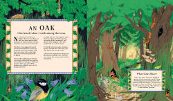 Alternative view 2 of Woodlore: Discover the Seasons and Stories of the Forest