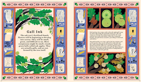 Woodlore: Discover the Seasons and Stories of the Forest