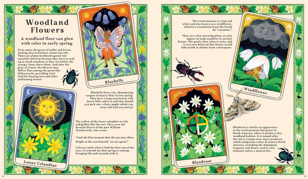 Woodlore: Discover the Seasons and Stories of the Forest