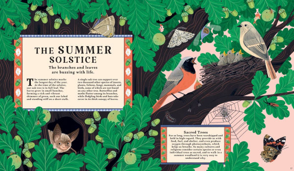 Woodlore: Discover the Seasons and Stories of the Forest