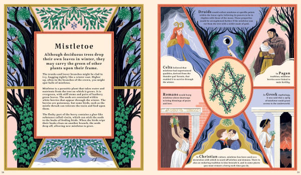 Woodlore: Discover the Seasons and Stories of the Forest