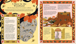 Alternative view 8 of Woodlore: Discover the Seasons and Stories of the Forest