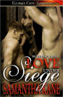 Love Under Siege (Brothers In Arms)
