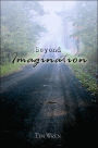 Beyond Imagination