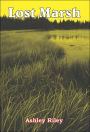 Lost Marsh