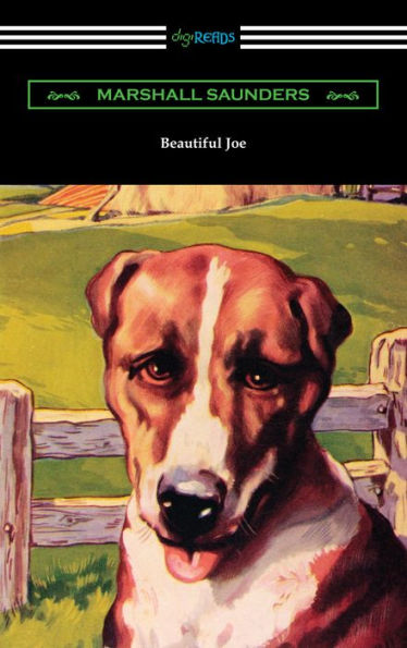 Beautiful Joe