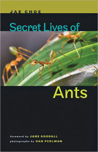 Title: Secret Lives of Ants, Author: Jae Choe
