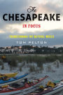 The Chesapeake in Focus: Transforming the Natural World