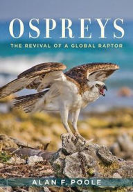 Title: Ospreys: The Revival of a Global Raptor, Author: Alan F. Poole