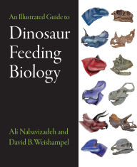 Title: An Illustrated Guide to Dinosaur Feeding Biology, Author: Ali Nabavizadeh
