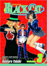 Black Cat, Volume 3