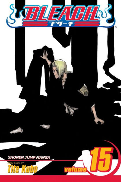 Bleach - volume 15