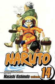 Title: Naruto, Volume 14, Author: Masashi Kishimoto