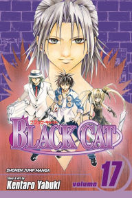 Black Cat, Volume 17
