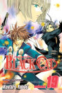Black Cat, Volume 19