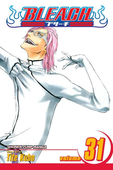 Bleach, Vol. 31: Don't Kill My Volupture