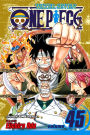 One Piece, Vol. 45: You Have My Sympathies