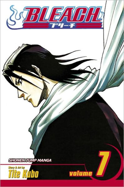 Bleach, Vol. 7: The Broken Coda