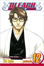 Bleach, Vol. 12: Flower on the Precipice