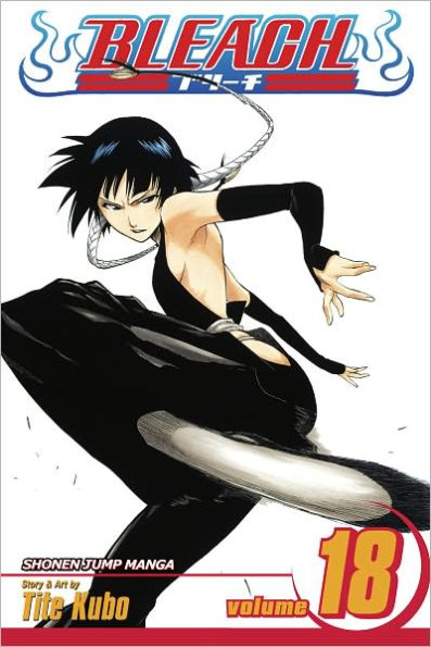 Bleach, Vol. 18: The Deathberry Returns