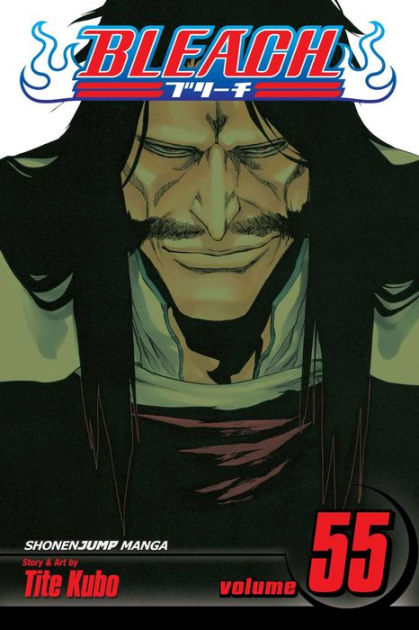 BLEACH Manga Volume 14