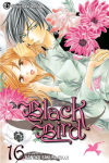 Alternative view 1 of Black Bird, Vol. 16