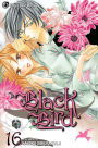 Alternative view 2 of Black Bird, Vol. 16