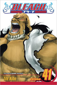 Bleach, Vol. 41: Heart